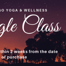 Single Group Yoga Class